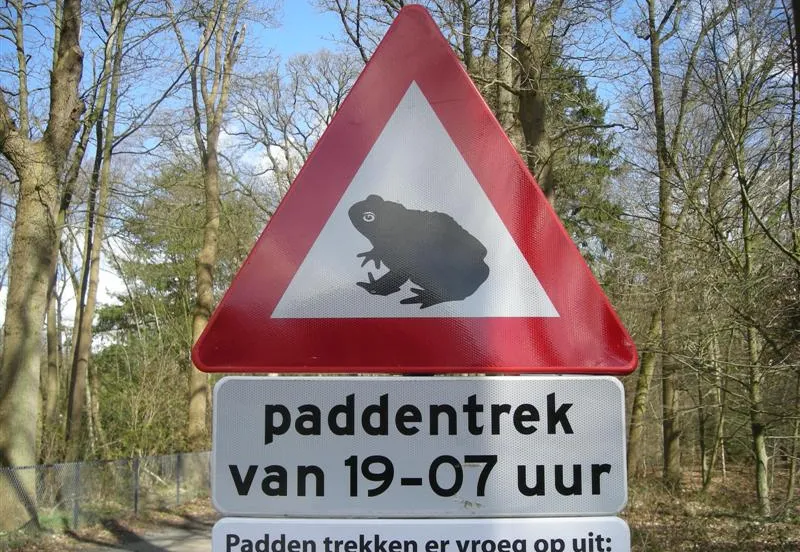 paddentrek oranjewoud udo ockema wikimedia cc by sa 30