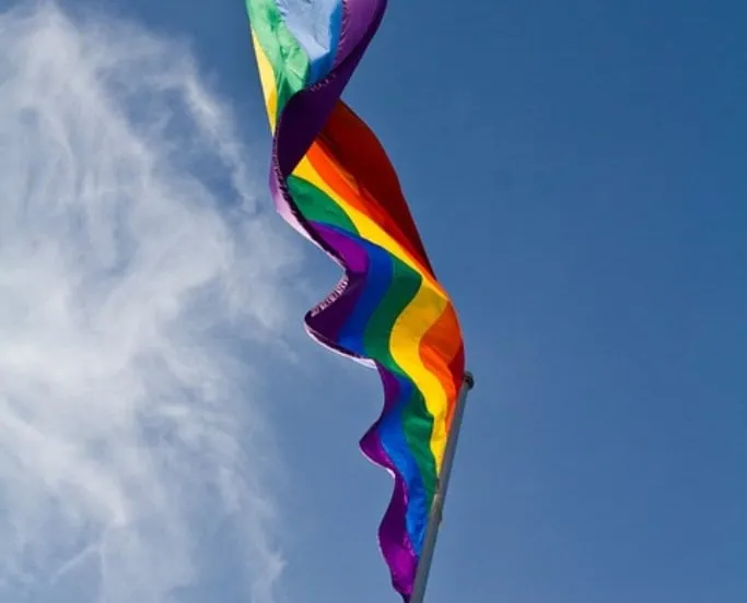 regeboogvlag rainbow 828920 960 720 groot pixabay