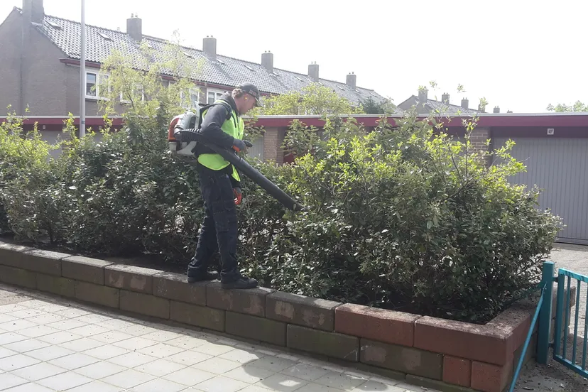 schone wijk lorentzstraat zandvoort jaap koper