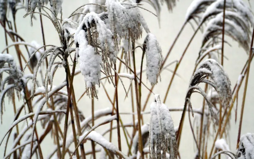 snow 5910951 1920 915x518 1