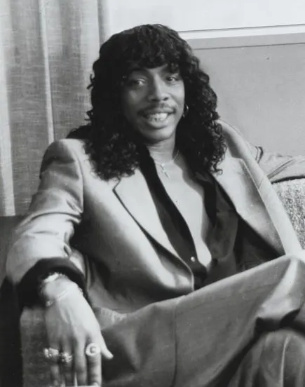 verhaal van de dag rick james in lifestyles of the rich 1984 wikipedia