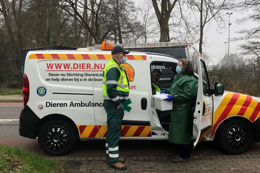 vogelhospitaal uitrusting vogelgriep foto vogelhospitaal haarlem en omgeving