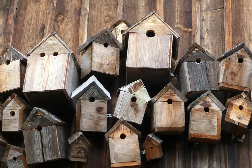 vogelhuisjes pixabay