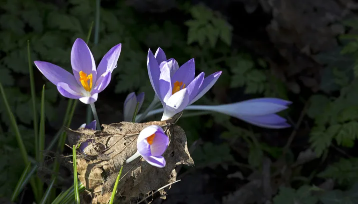 voorjaarsvakantie wim meijer fotografie 5i5a6206 small 715x408