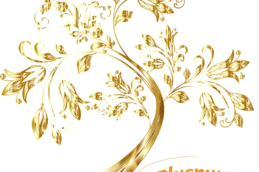 wensboom pluspunt zandvoort