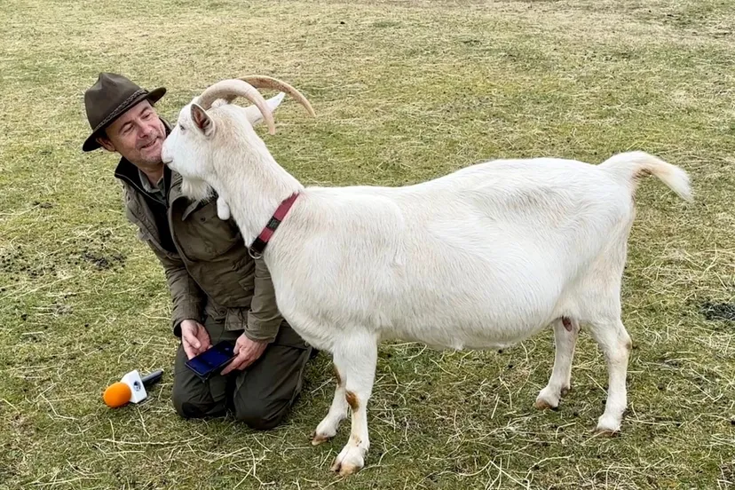 whatsapp image 2023 04 01 at 112258 1