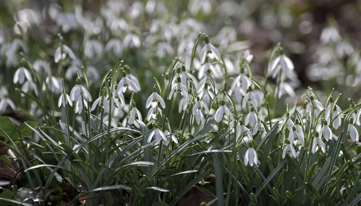 wim meijer fotografie img 2013 715x408
