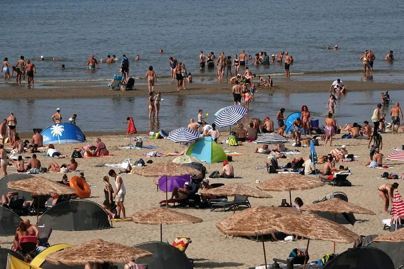 374184299 1049610719343848 5911079484856042938 n