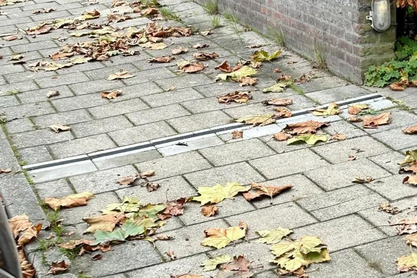 afbeelding pilot laadgoten 0