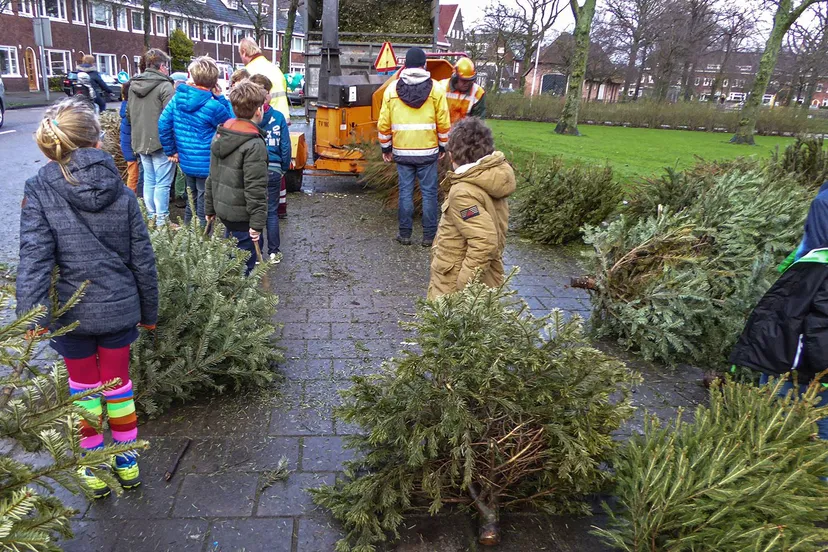 kerstbomenactie 2025 foto 1 kopie