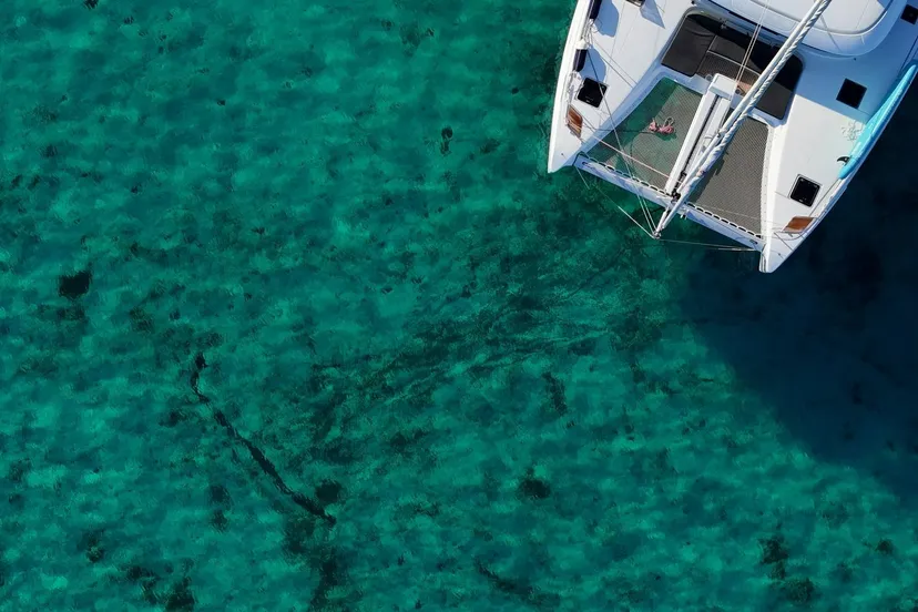 peter b ilewmfm9l6u unsplash