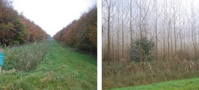 horsterwold zeewolde 1 hotspot holland