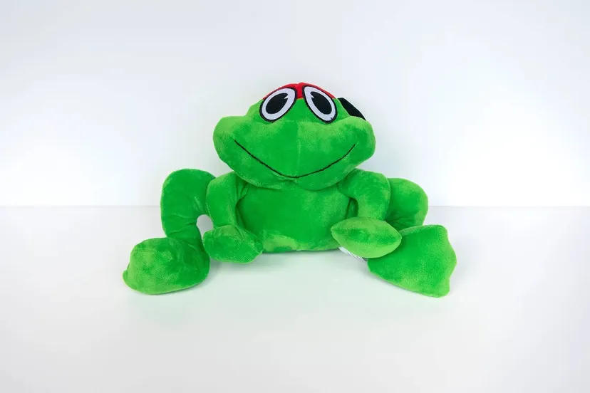 kikker stichting opkikkerjpg