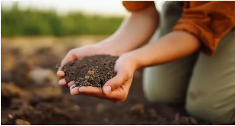 compost gem dronten