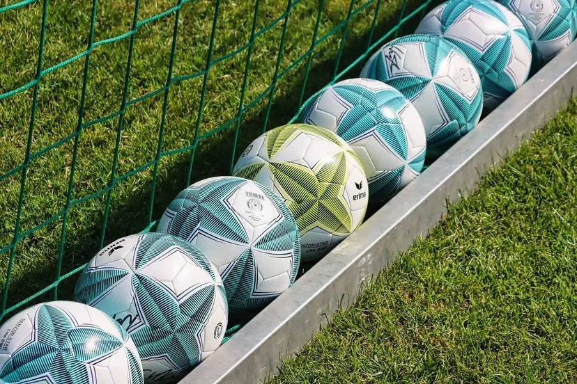 voetballen alexander fox planet fox via pixabay