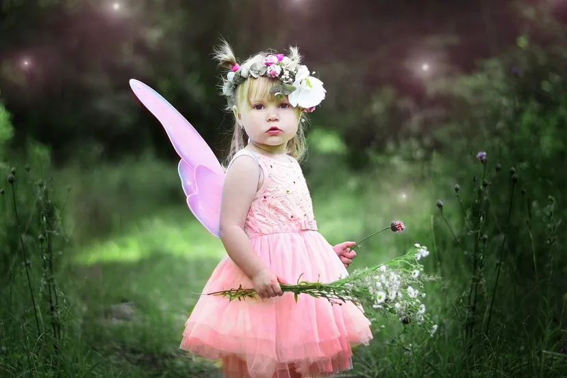 kind fee pixabay