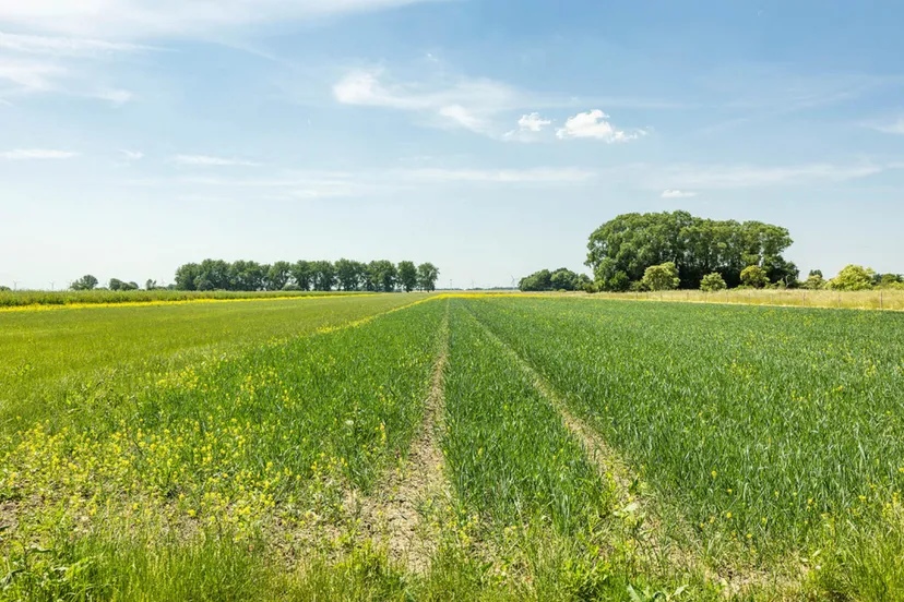 luchtmeetnet prov flevoland