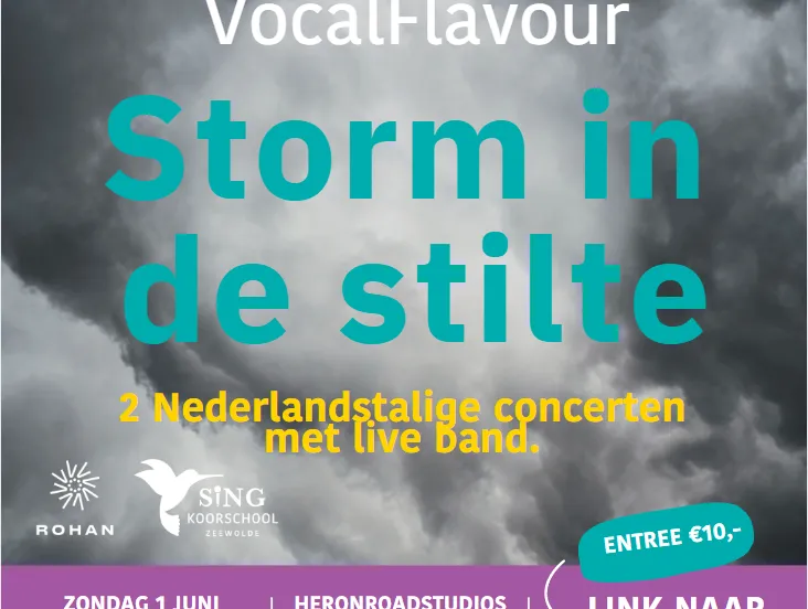 storm in de stilte vocal flavour singzeewolde