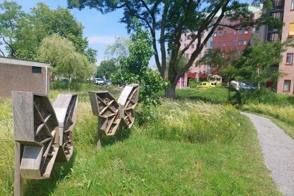 vlinders isala
