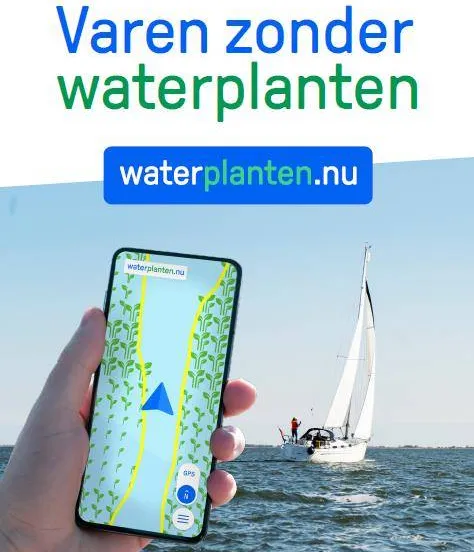 flyer waterplantennu gastvrije randmeren