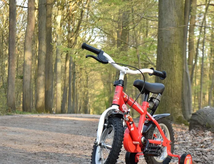 bicycle 7023078 960 720