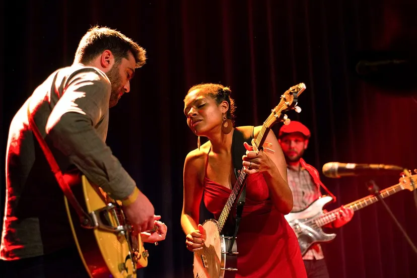 bluesbirds of chicago 2213662 960 720