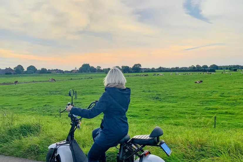 bronvermelding sarah weber i niederrheinblond