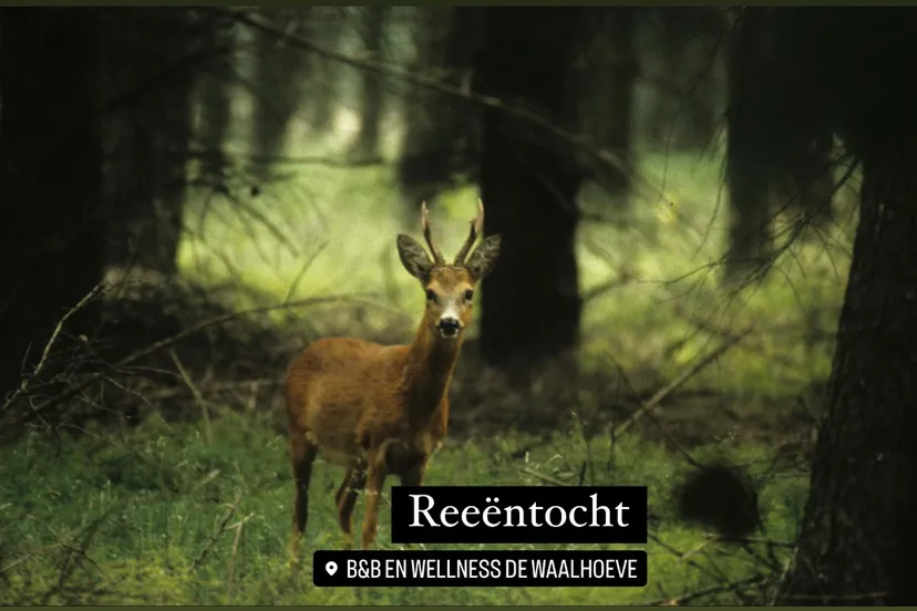 burl 9740ae37 1aed 4e5a bd3c 5dcd6feca1a4 2