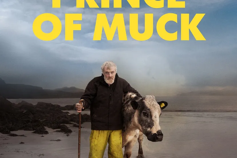 film 301521610 6123076354388261 5808045415910625278 n