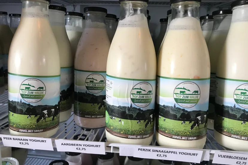 hofzumwalde 5 img 2555