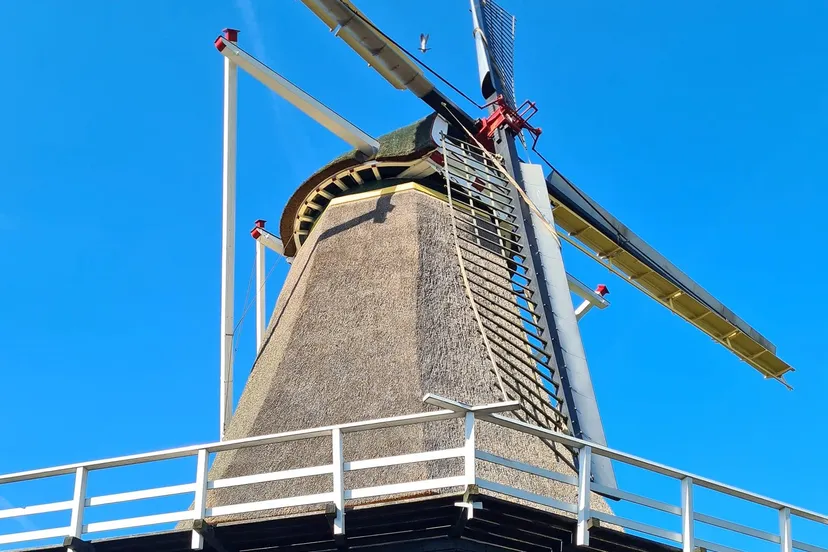 molenoudzevenaardef 344847049 145512535027673 3868272215807060361 n