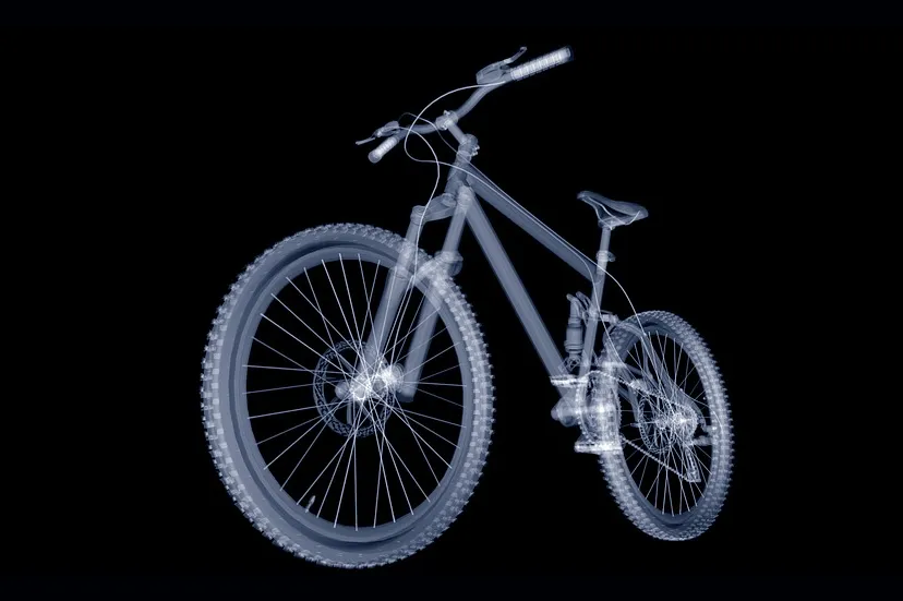 mountain bike 2447170 960 720