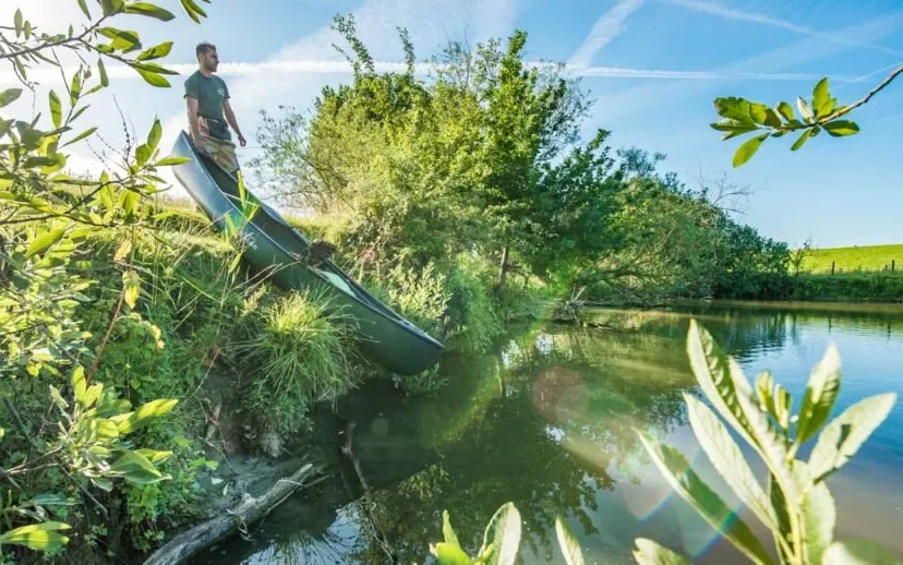 muskusrattenvanger 915x518 1