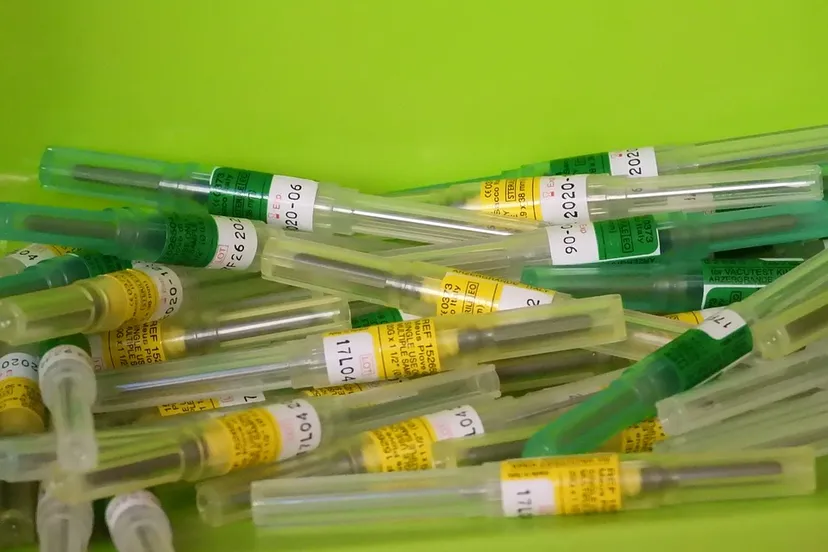 needles 3984026 960 720