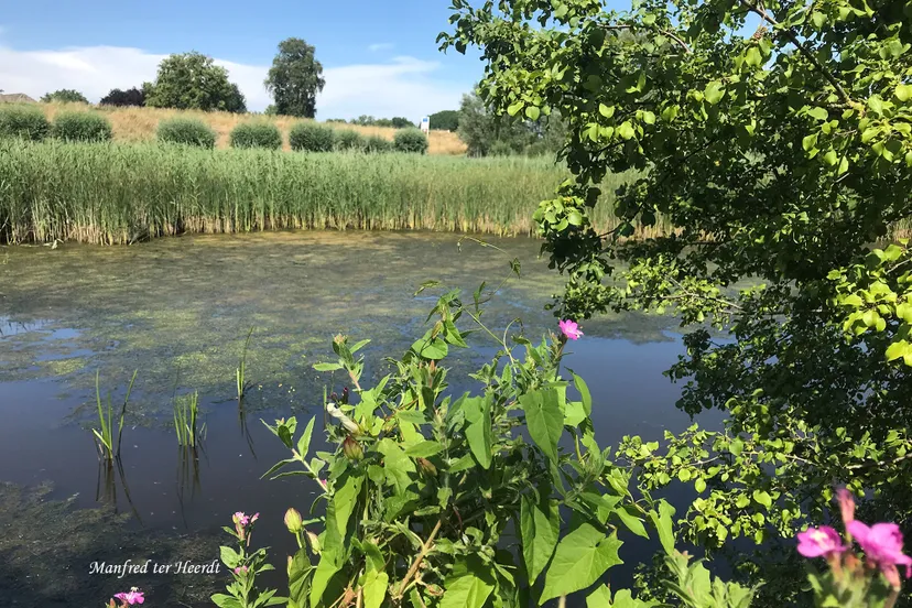 oud zevenaar m ter heerdt