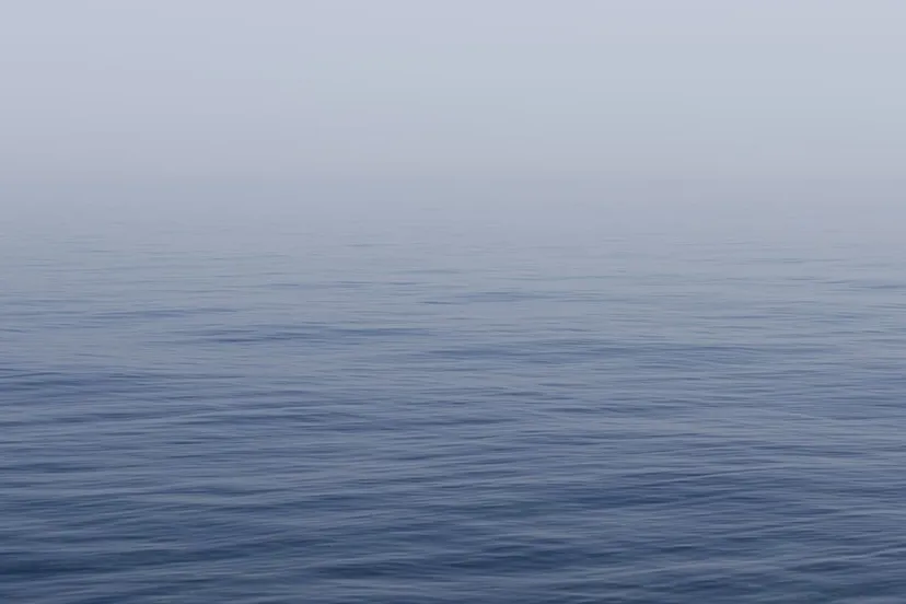 retentiegebied water 768745 960 720