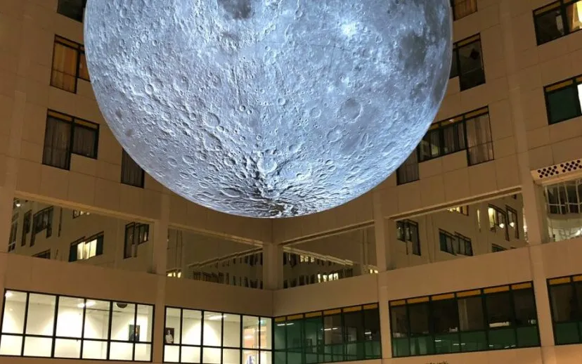 rijnstatemaan img 20221210 wa0000 915x518 1