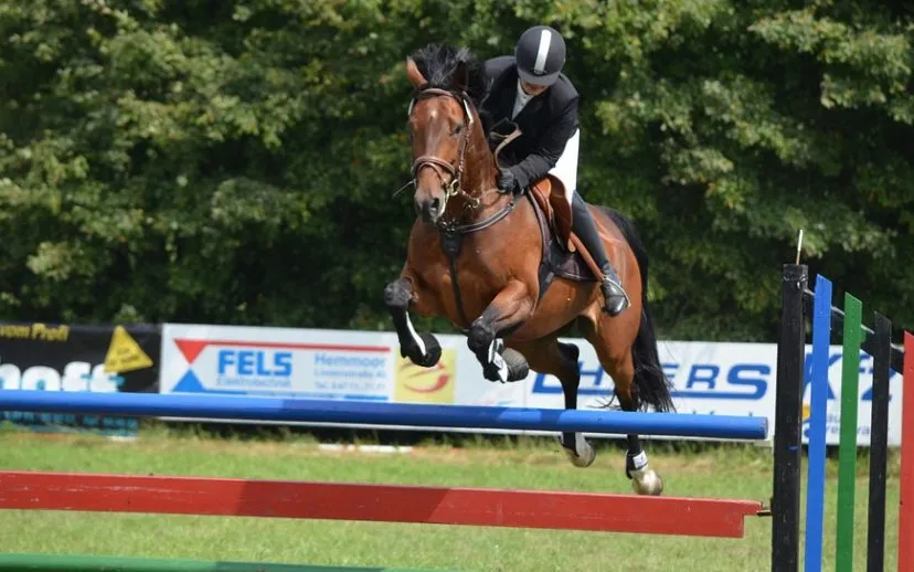 tournament ride 379030 960 720 915x518 1