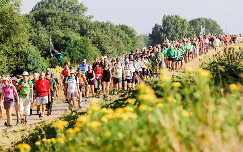 vierdaagse 915x518 1