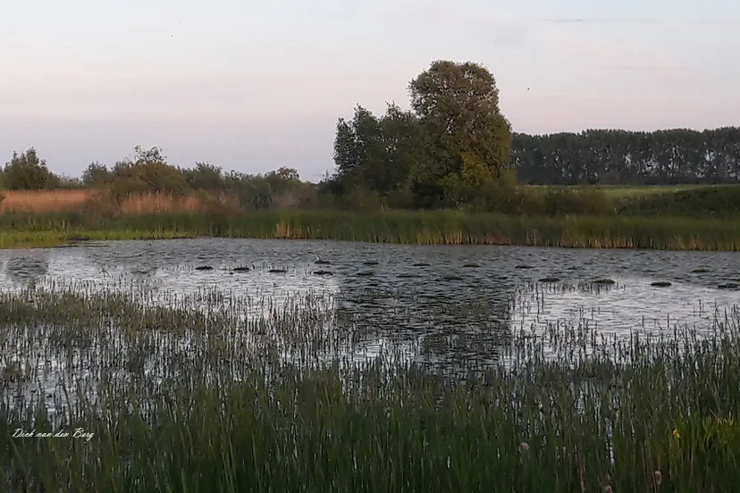 wandeling 20190523 205343