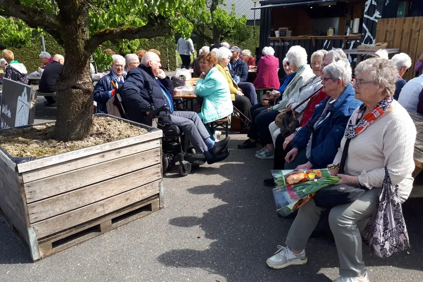 zonnebloem img 20230504 wa0058