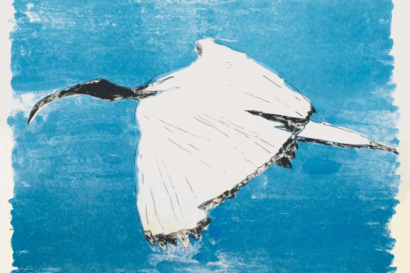 ellen van eldik de prive collectie