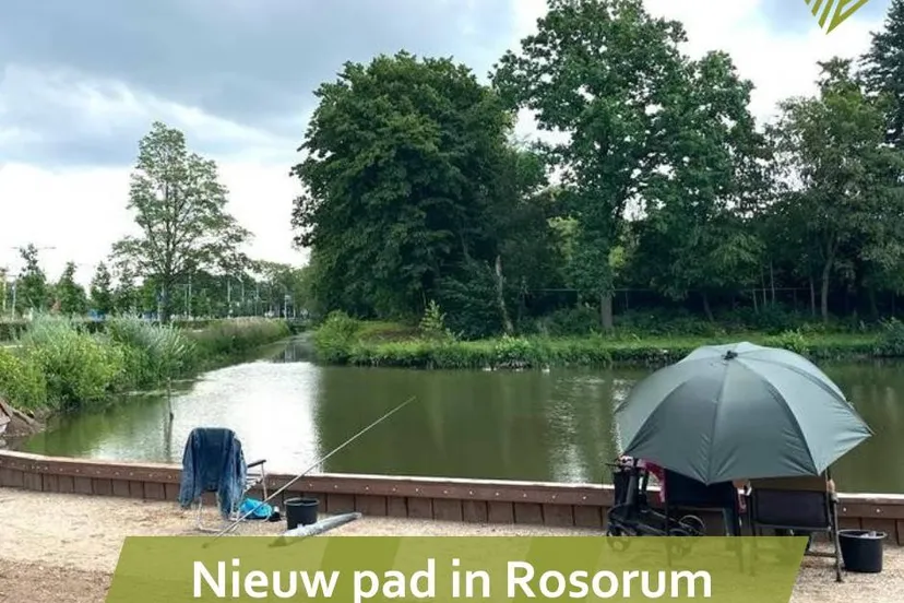 rosorum505357202 1024068429898240 3268645701519021612 n