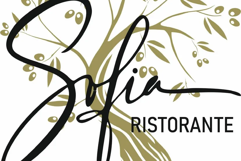 Sofiadef IMG-20250404-WA0000