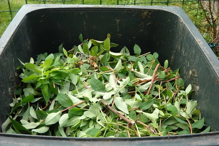 green waste 486011 960 720