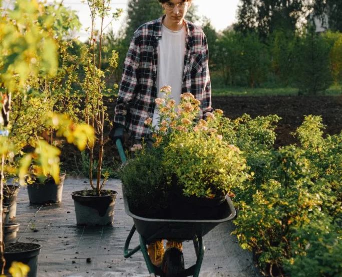 helpen in wijktuin noordhove free stockphoto