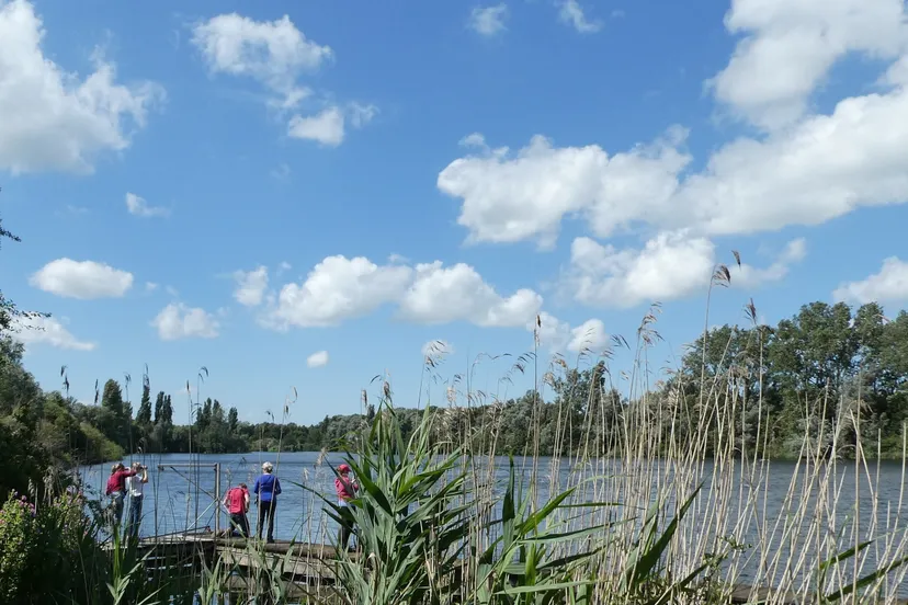 11 plas van poot in zoetermeer