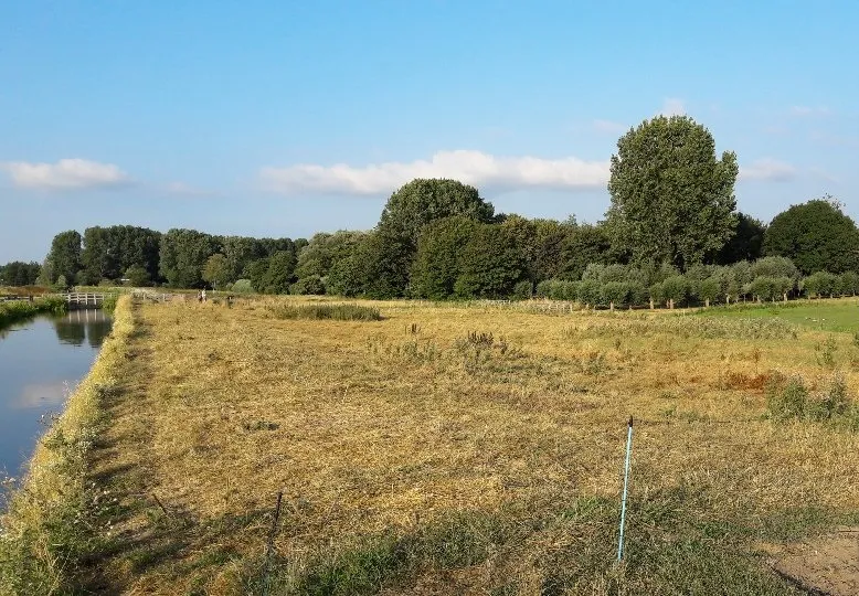 12 droge en warme periode hoogheemraaadschap treft maatregelen uit voorzorg
