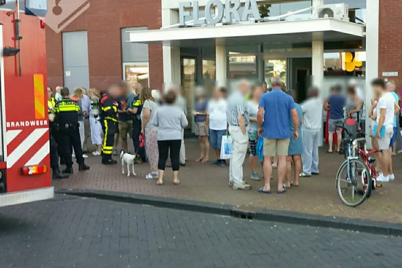 18698392 2077549789139091 6788346049795615070 n