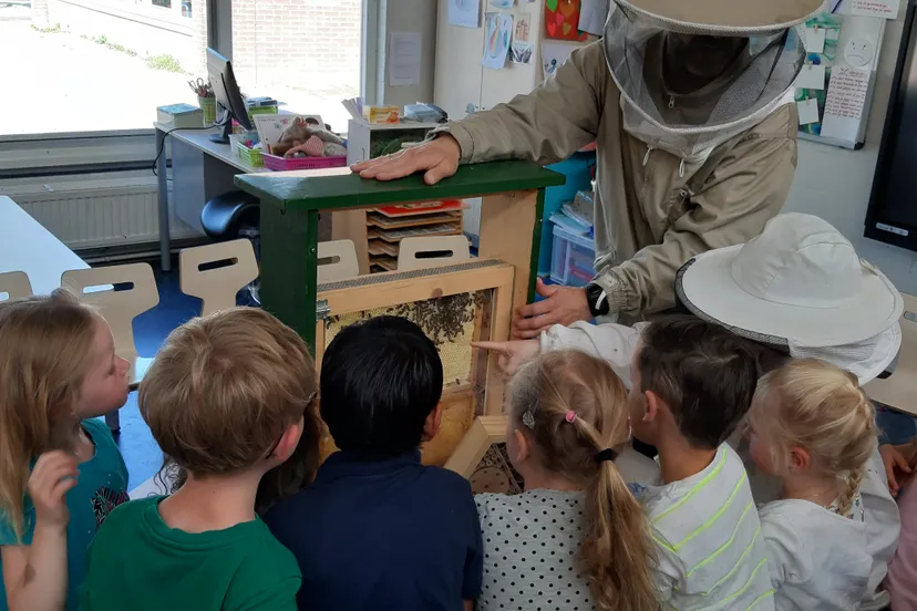 20190529 10352519192